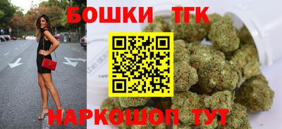 стаф Кингисепп