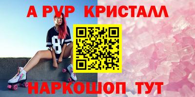 стаф Кингисепп