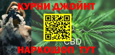 стаф Кингисепп