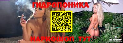 стаф Кингисепп