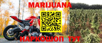 стаф Кингисепп