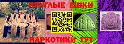 стаф Кингисепп