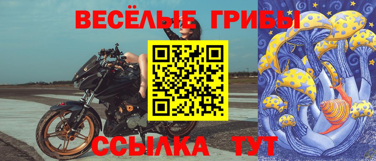 Шадринск  Галлюциногенные грибы мухоморы  Вход с VPN 