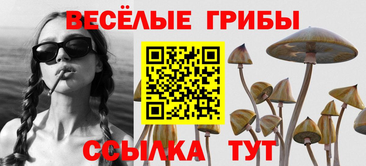 Галлюциногенные грибы мухоморы Шадринск